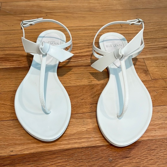 Alexandre Birman Shoes - Alexandre Birman Clarita Jelly Sandals